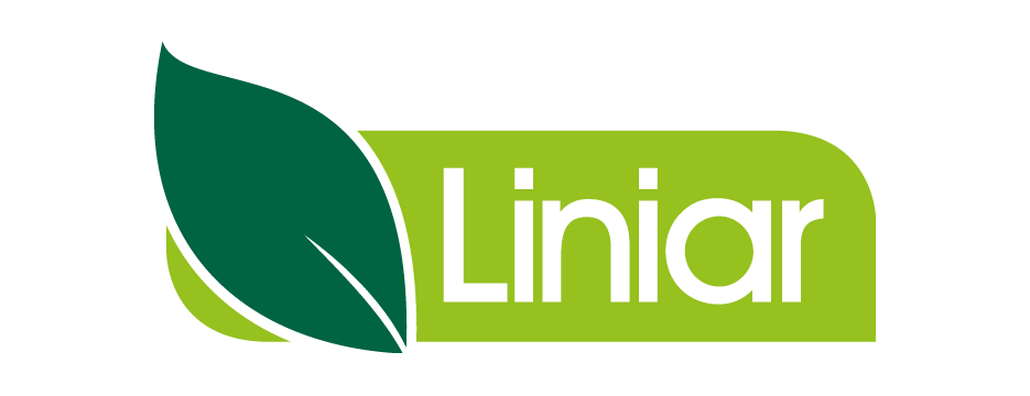 Liniar Windows Logo